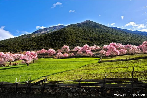 西藏旅游多少錢