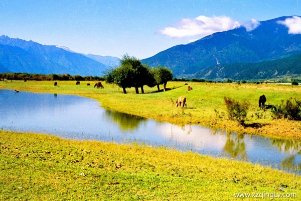 去西藏合適的季節