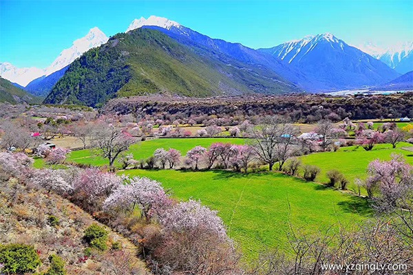 西藏什么時候去