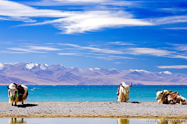 什么時(shí)候去西藏好