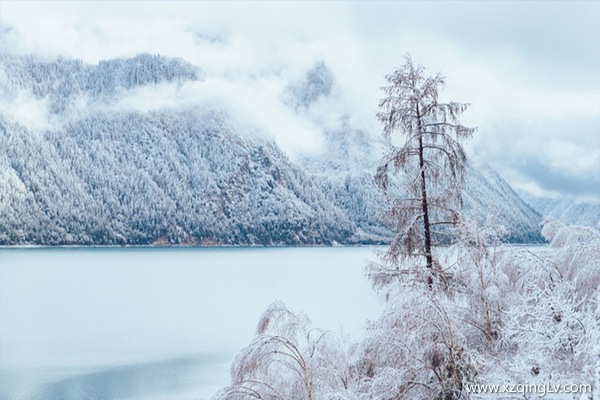 去拉薩旅游的費用