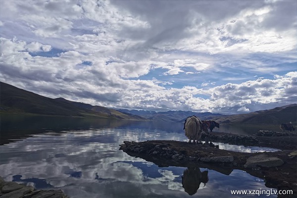 西藏旅游多少錢