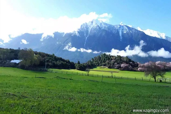 西藏旅游必去景點(diǎn)