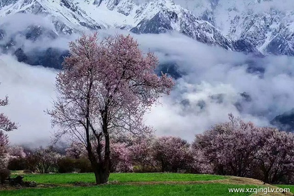 拉薩到林芝要多久