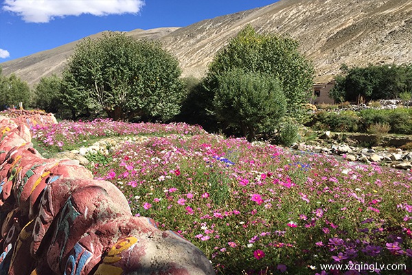 西藏旅游幾月合適