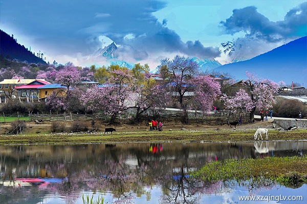 幾月去西藏旅游合適