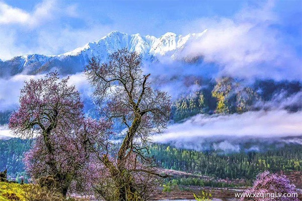 西藏旅游幾月去合適