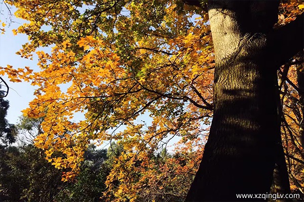 西藏旅游幾月份去好