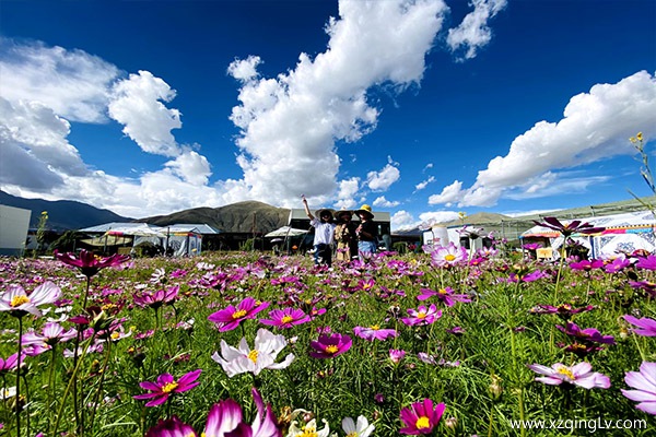 拉薩到林芝包車價(jià)格