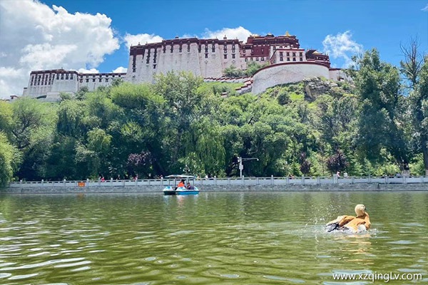 西藏旅行要多少錢