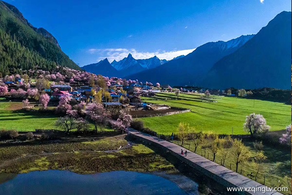 林芝桃花節(jié)舉辦地點