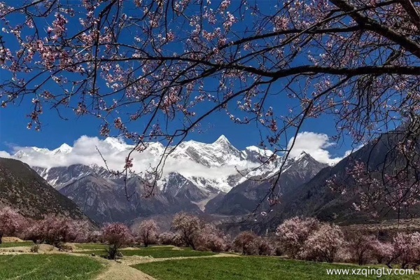 西藏神馬旅行社服務怎么樣