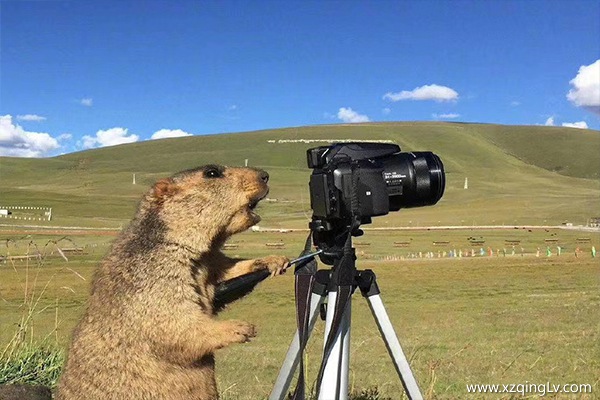 西藏幾月份最好玩