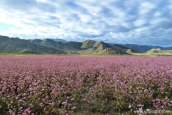 林芝游玩攻略有哪些