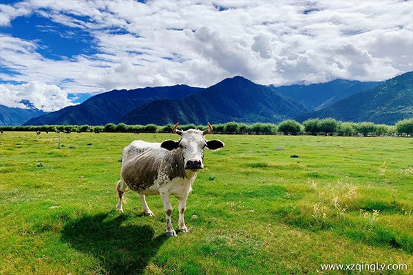 什么時候去西藏好