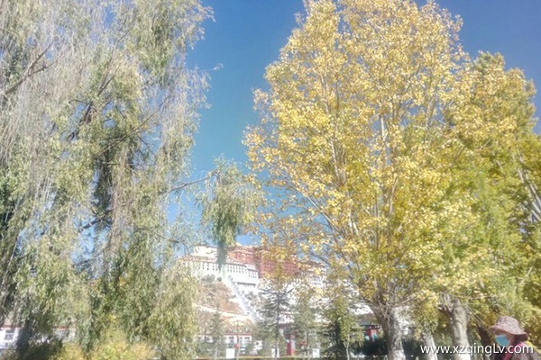 拉薩幾月份去旅游最好