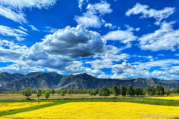 7、8月份進藏旅游要多少錢
