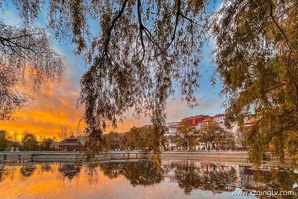 西藏報團旅游要多少錢