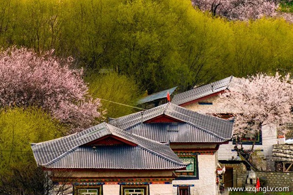 林芝的景色幾月好看