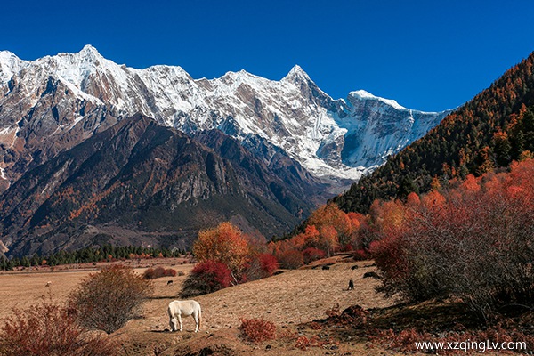 幾月份去林芝合適