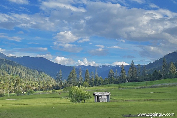 林芝幾月份去合適