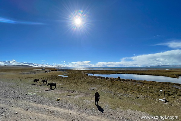 去西藏一般要準(zhǔn)備多少錢