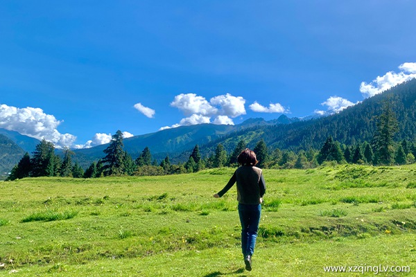 去西藏跟團游還是自由行?