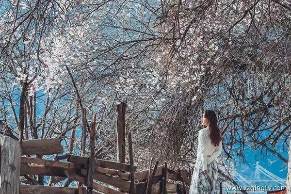 西藏適合一個人去嗎