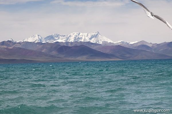 西藏七天旅游多少錢(qián)