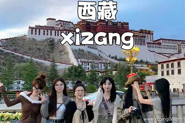 西藏去一次多少錢(qián)