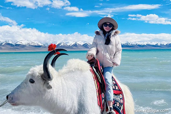 去西藏玩花多少錢