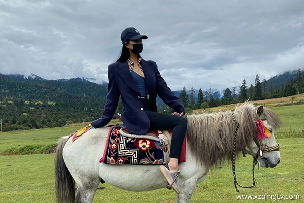 山東聊城去西藏旅游怎么玩