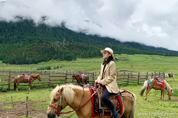 邛崍去西藏旅游需要幾天時間
