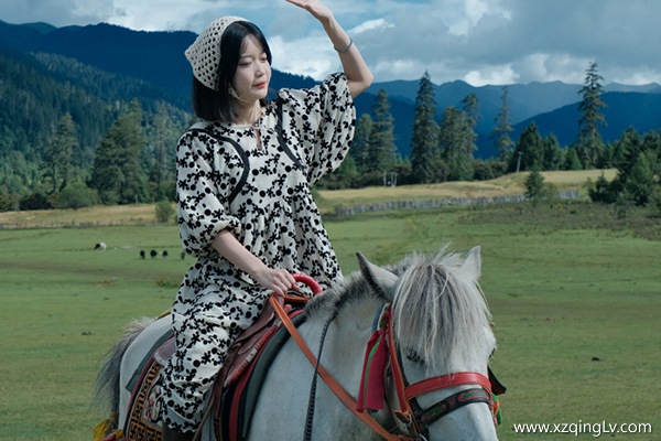 去西藏旅游費用需要多少錢