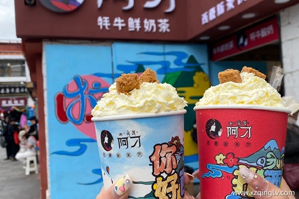 西藏旅游怎么玩省心省錢