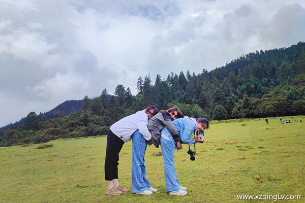 西藏旅游費用需要多少