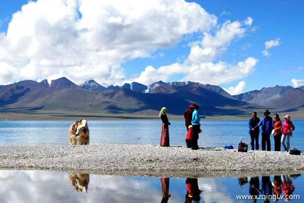 報團去西藏大概需要多少錢