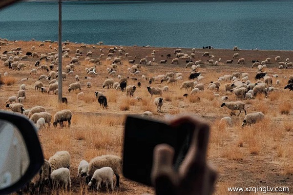 幾月去西藏旅游好
