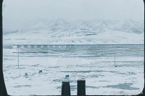 進藏方式怎么選擇