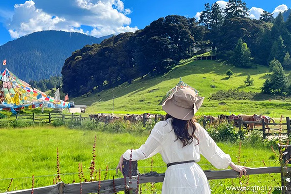 一個人去西藏旅游合適嗎