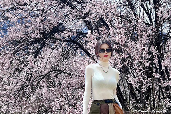 4月適合去西藏旅游嗎