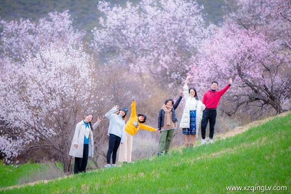 帶爸媽跟團去西藏旅游費用是多少