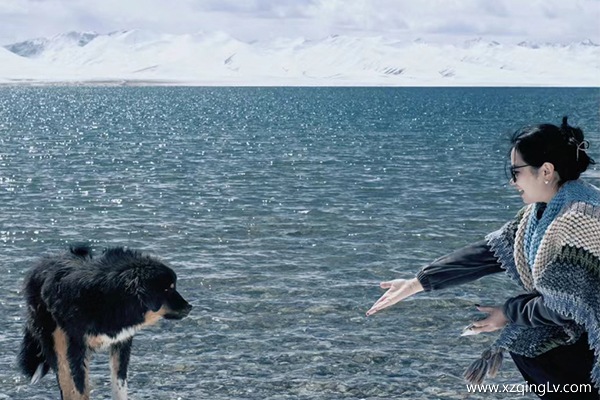 去西藏游玩幾天合適