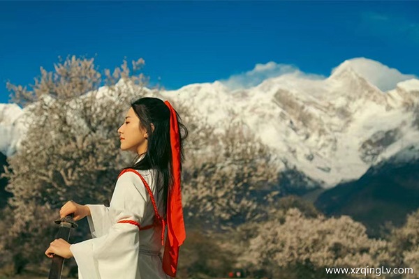 三月跟團去林芝看桃花