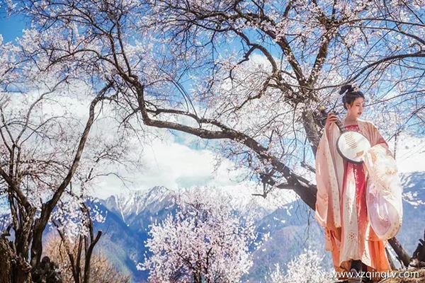 三月去西藏旅游好嗎