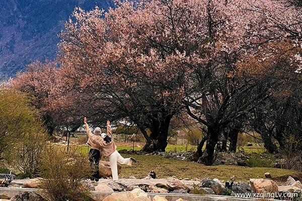 西藏旅游三月份可以去玩嗎