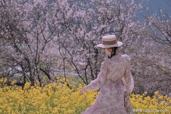 四月去西藏玩一周要花多少錢