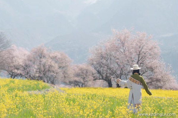三月林芝桃花穿什么衣服拍照好看