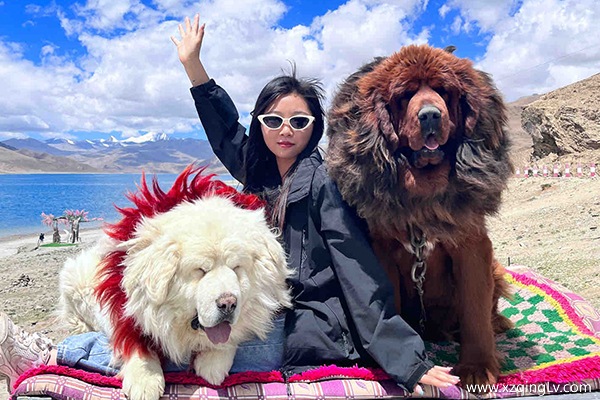 跟團去西藏旅行社排名前十的有哪些