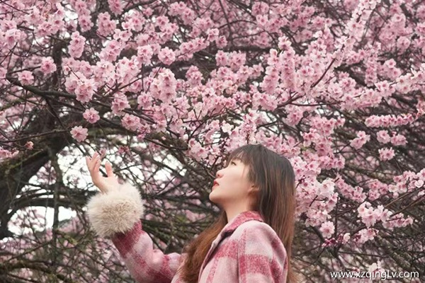 4月去西藏多少錢